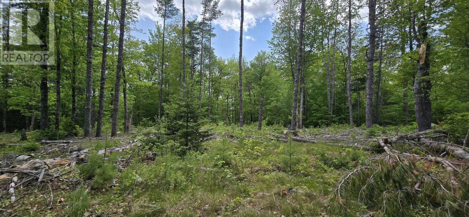 Lot 24-6 East Clifford Road, East Clifford, Nova Scotia  B4V 7R8 - Photo 8 - 202513801