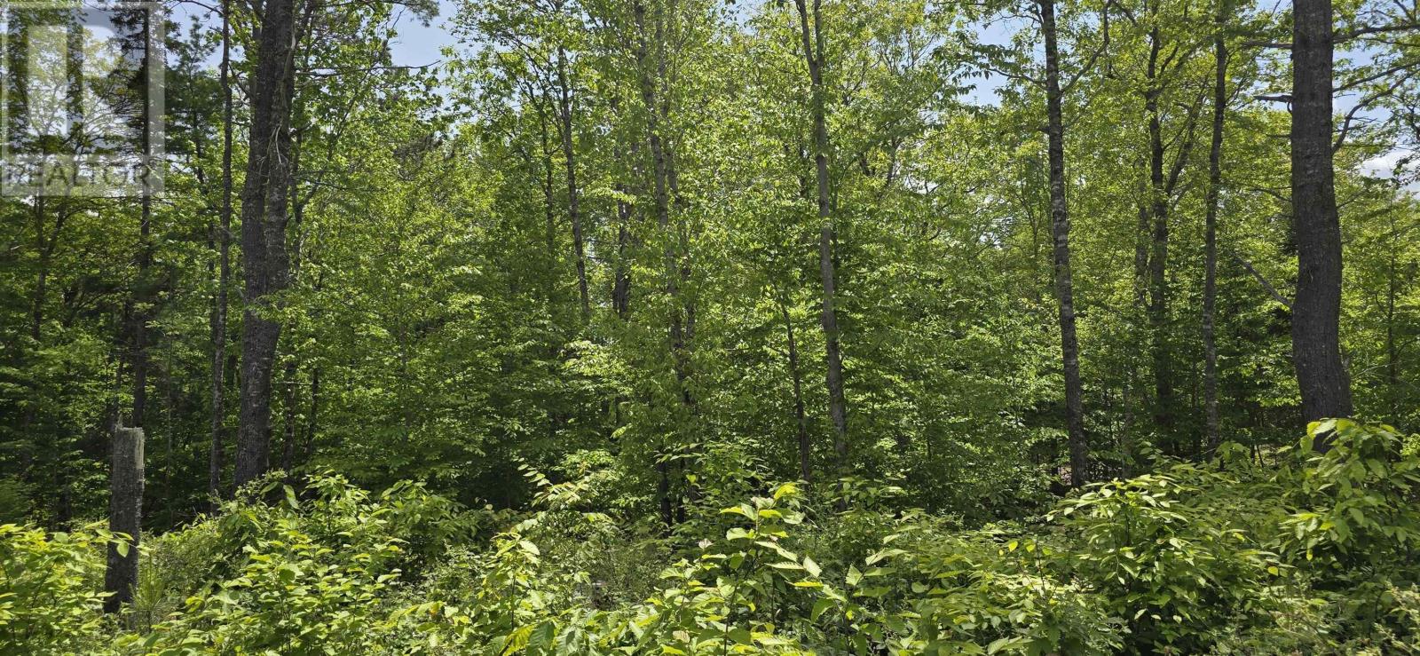 Lot 24-5 East Clifford Road, East Clifford, Nova Scotia  B4V 7R8 - Photo 11 - 202513802