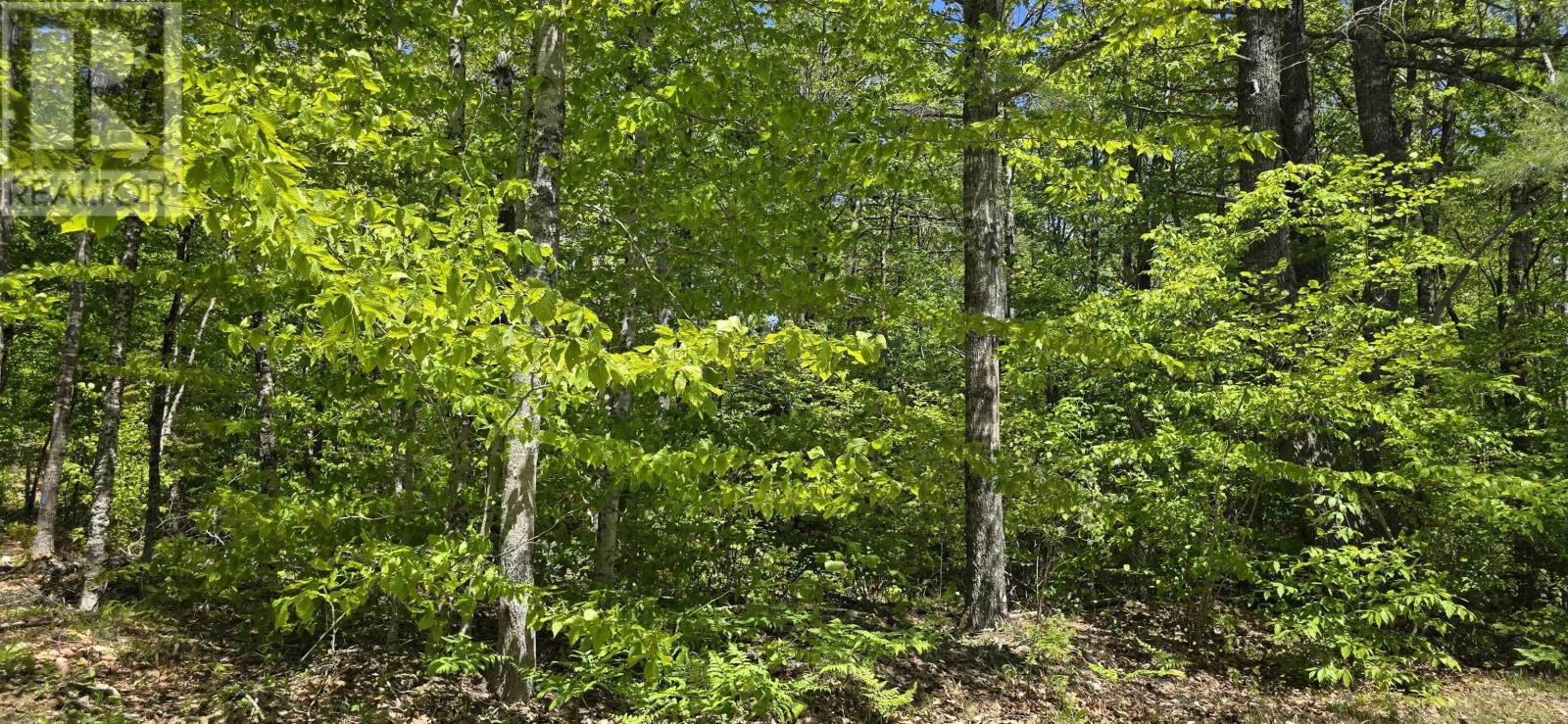 Lot 24-5 East Clifford Road, East Clifford, Nova Scotia  B4V 7R8 - Photo 22 - 202513802