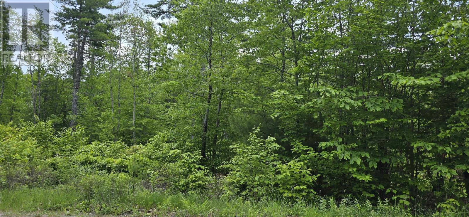 Lot 24-5 East Clifford Road, East Clifford, Nova Scotia  B4V 7R8 - Photo 21 - 202513802