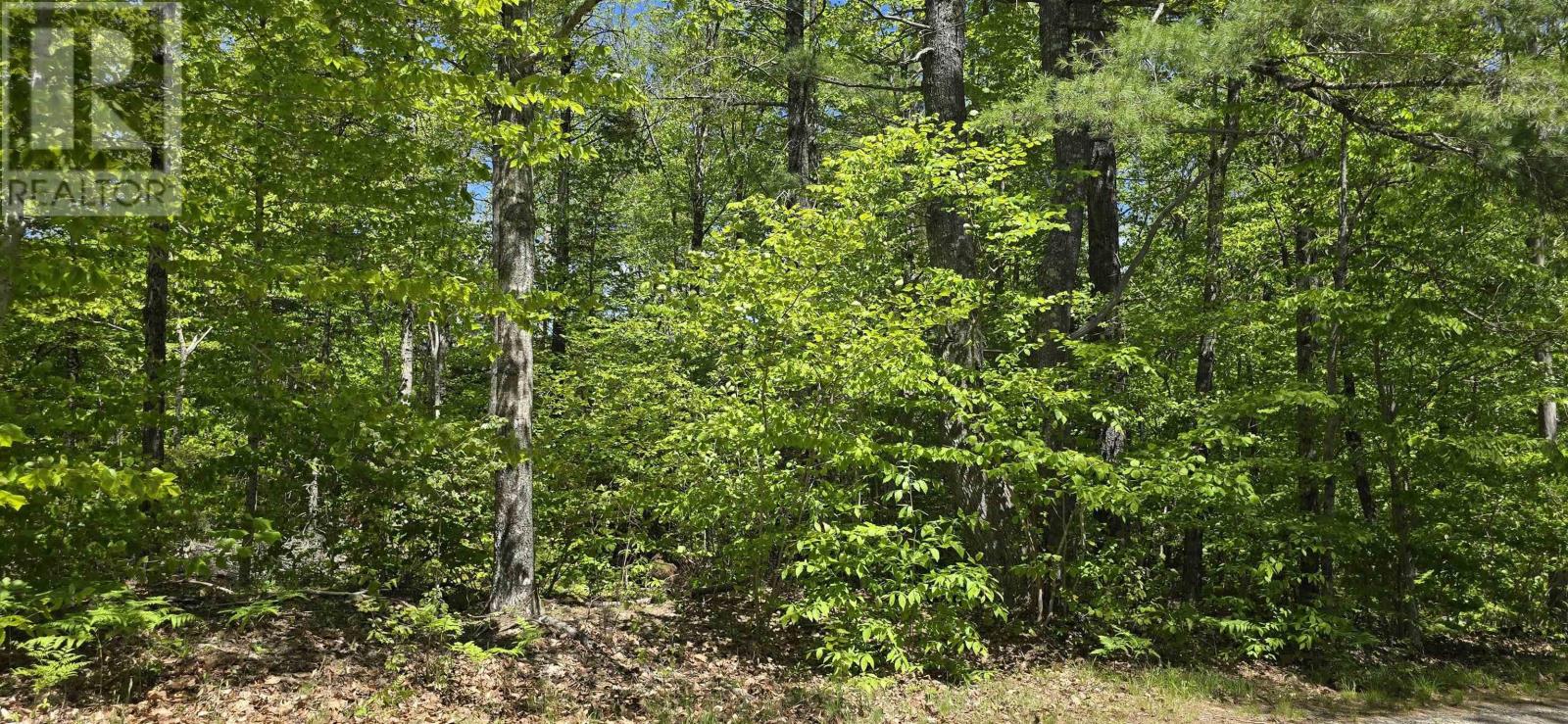 Lot 24-5 East Clifford Road, East Clifford, Nova Scotia  B4V 7R8 - Photo 24 - 202513802