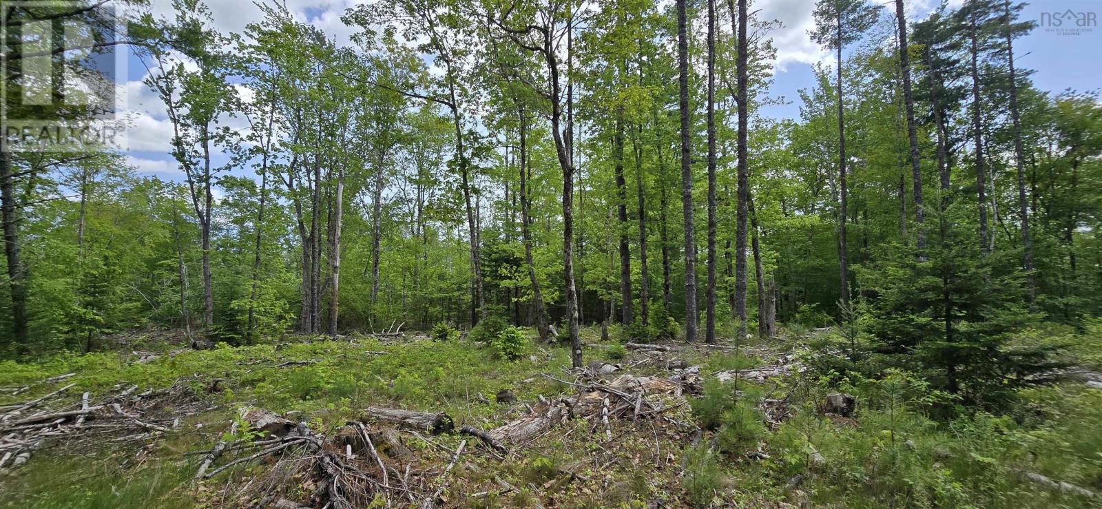 Lot 24-6 East Clifford Road, East Clifford, Nova Scotia  B4V 7R8 - Photo 7 - 202513801