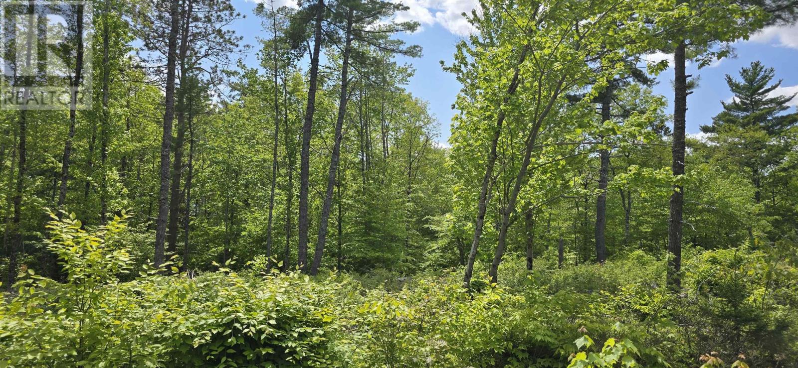 Lot 24-5 East Clifford Road, East Clifford, Nova Scotia  B4V 7R8 - Photo 9 - 202513802