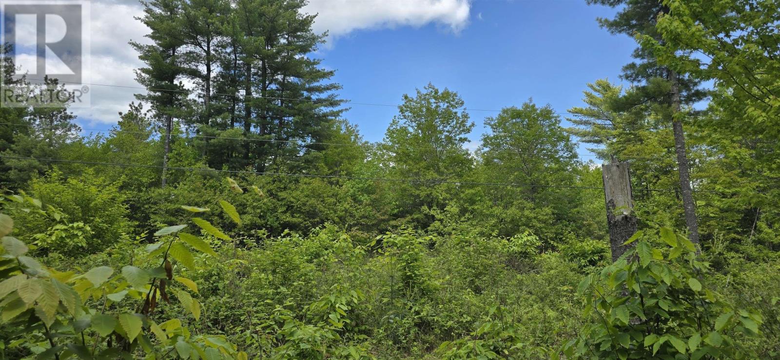 Lot 24-5 East Clifford Road, East Clifford, Nova Scotia  B4V 7R8 - Photo 13 - 202513802