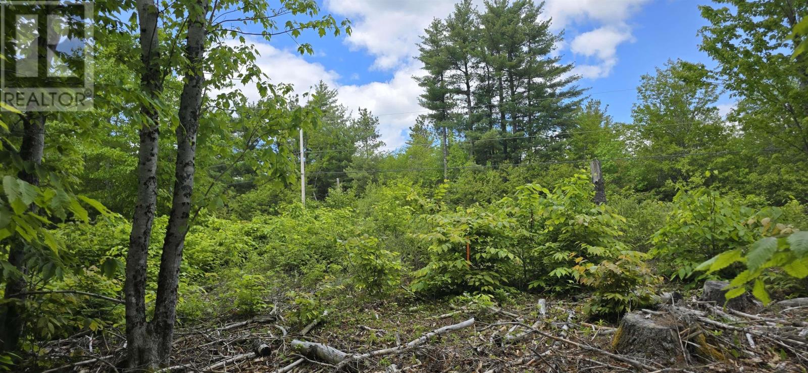 Lot 24-5 East Clifford Road, East Clifford, Nova Scotia  B4V 7R8 - Photo 17 - 202513802