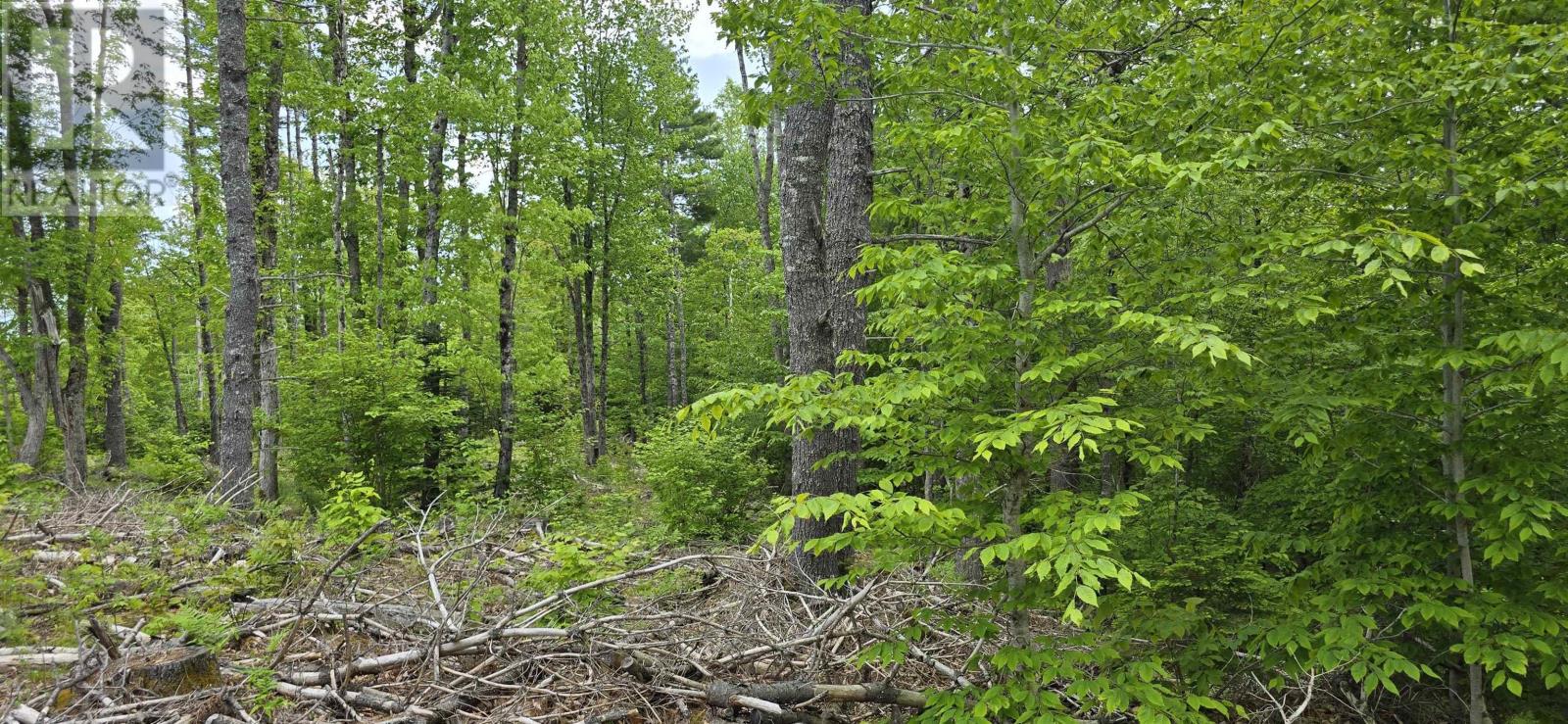 Lot 24-5 East Clifford Road, East Clifford, Nova Scotia  B4V 7R8 - Photo 14 - 202513802