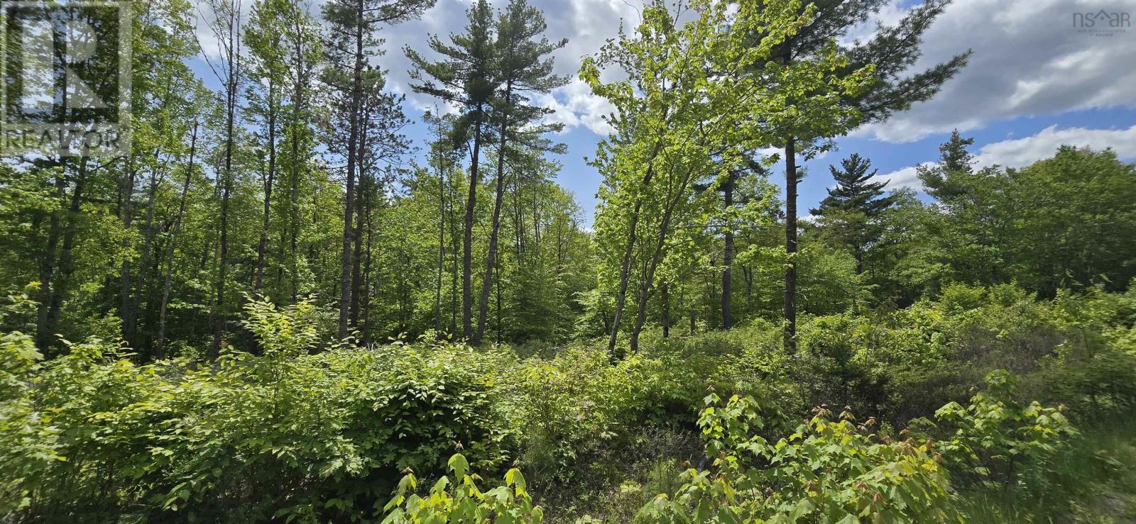 Lot 24-5 East Clifford Road, East Clifford, Nova Scotia  B4V 7R8 - Photo 8 - 202513802