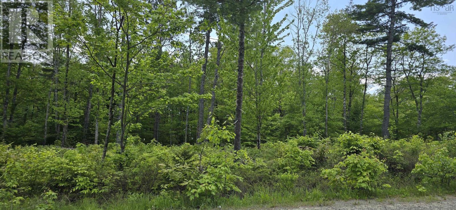 Lot 24-5 East Clifford Road, East Clifford, Nova Scotia  B4V 7R8 - Photo 19 - 202513802