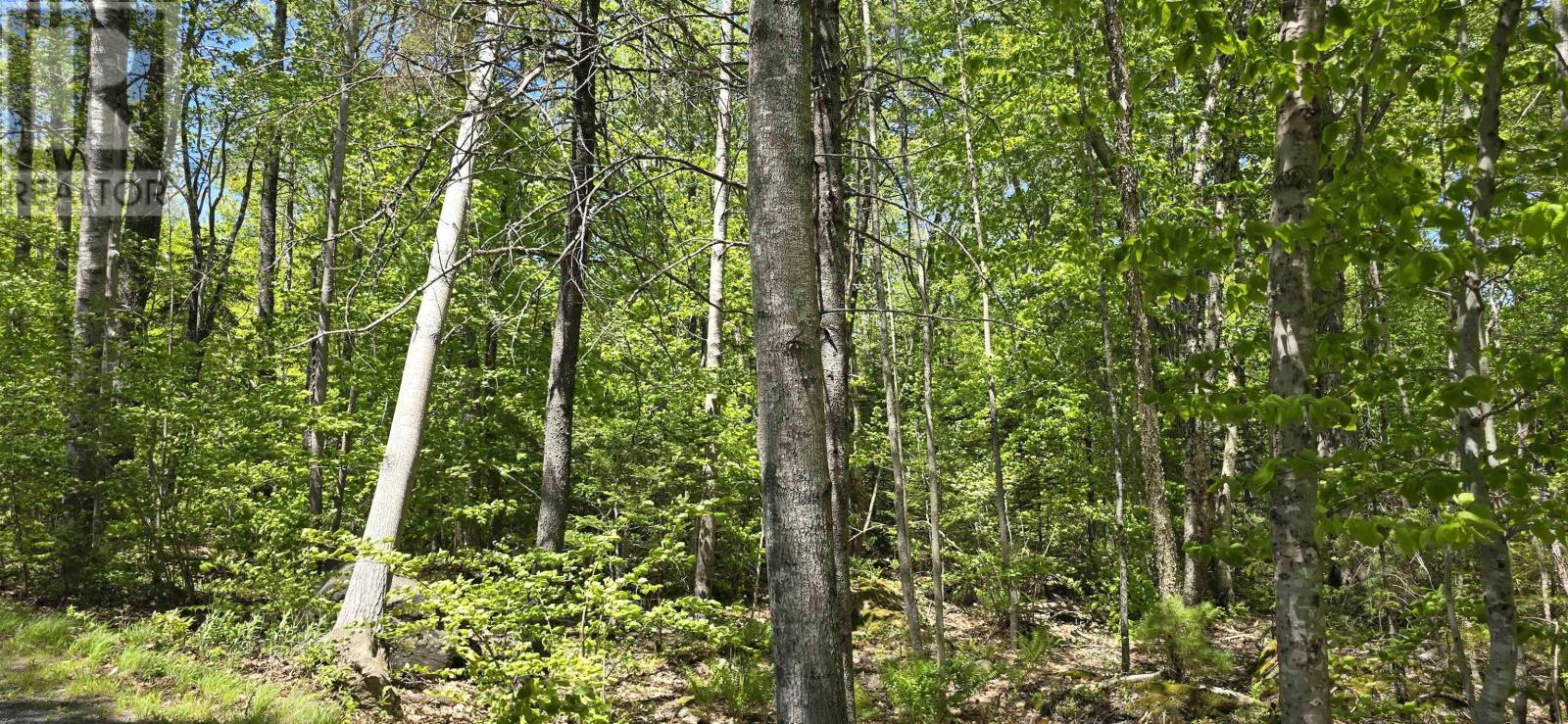 Lot 24-5 East Clifford Road, East Clifford, Nova Scotia  B4V 7R8 - Photo 28 - 202513802