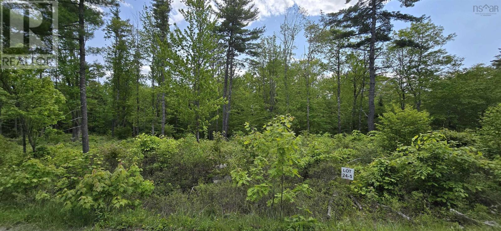 Lot 24-5 East Clifford Road, East Clifford, Nova Scotia  B4V 7R8 - Photo 3 - 202513802