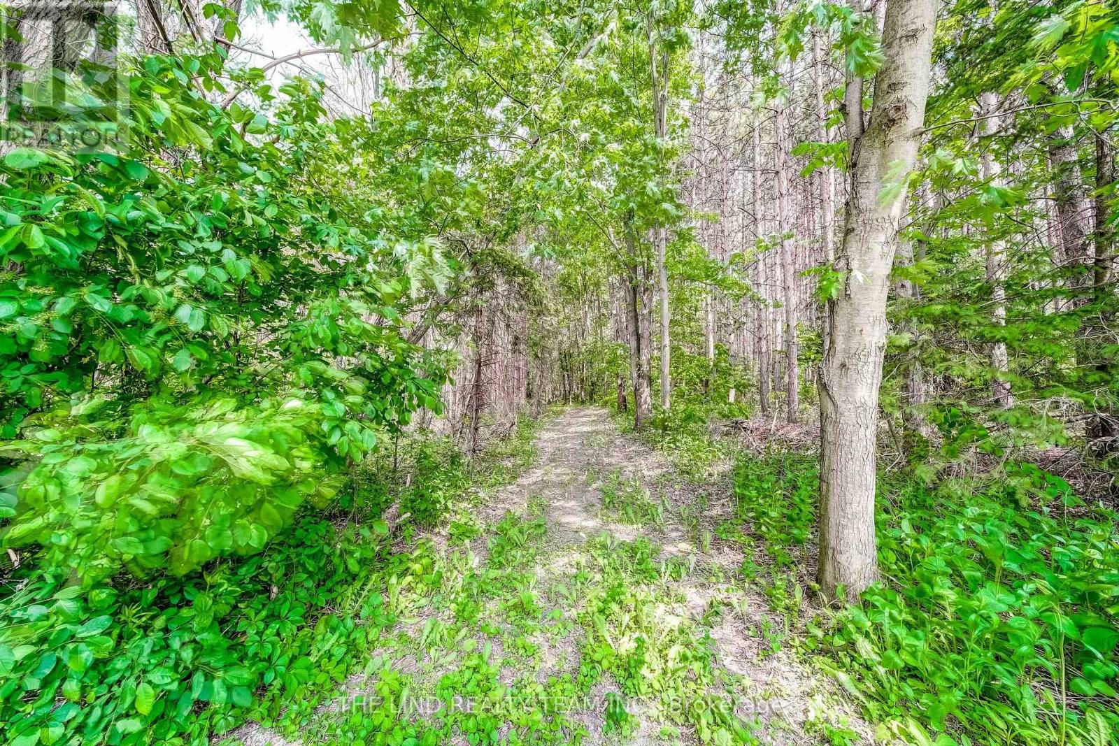 5205 10th Side Road, Innisfil, Ontario  L0L 1L0 - Photo 31 - N12203360