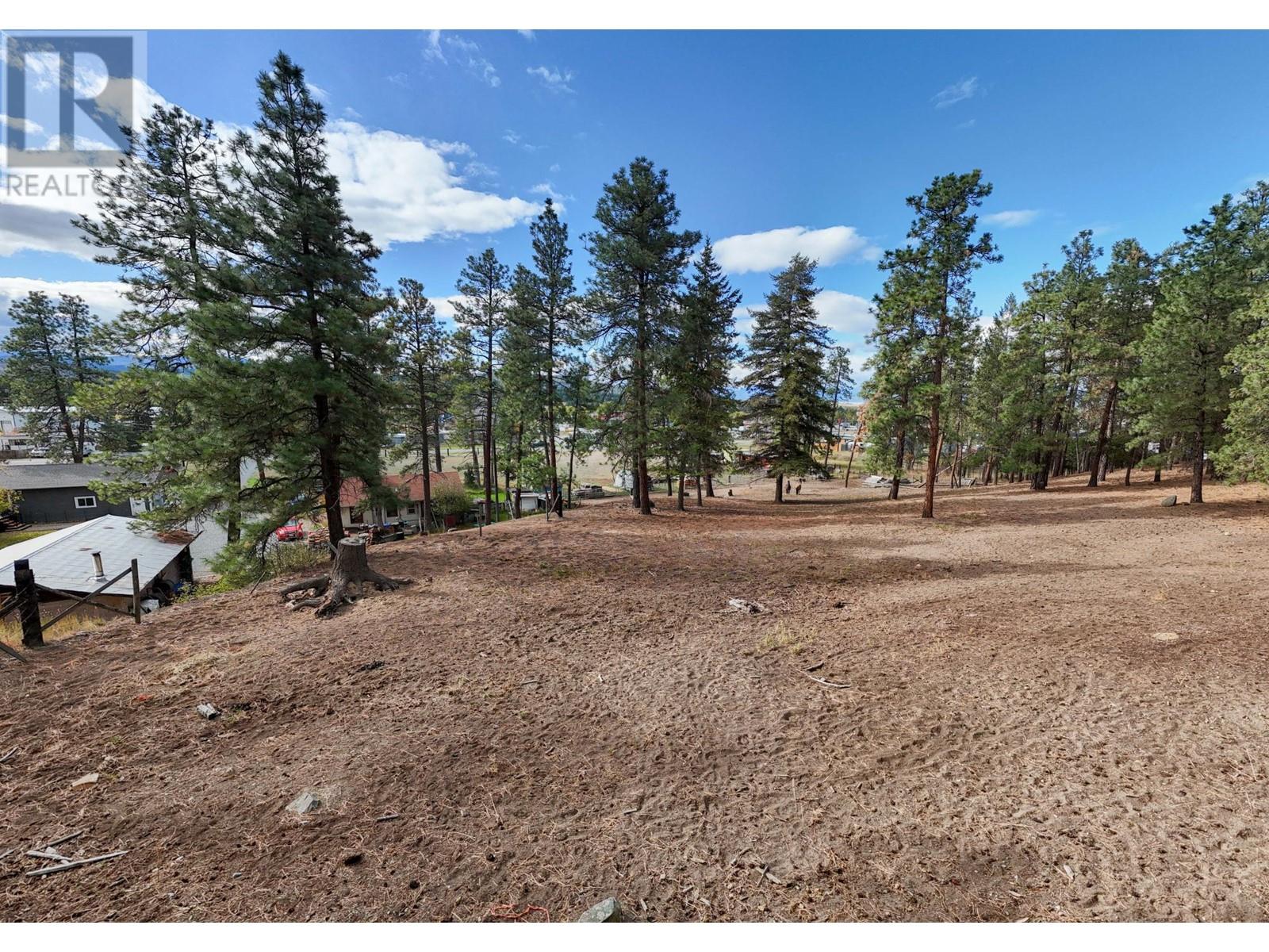 2320 30th Avenue N, Cranbrook, British Columbia V1C 7B1 - Photo 13 - 10350084