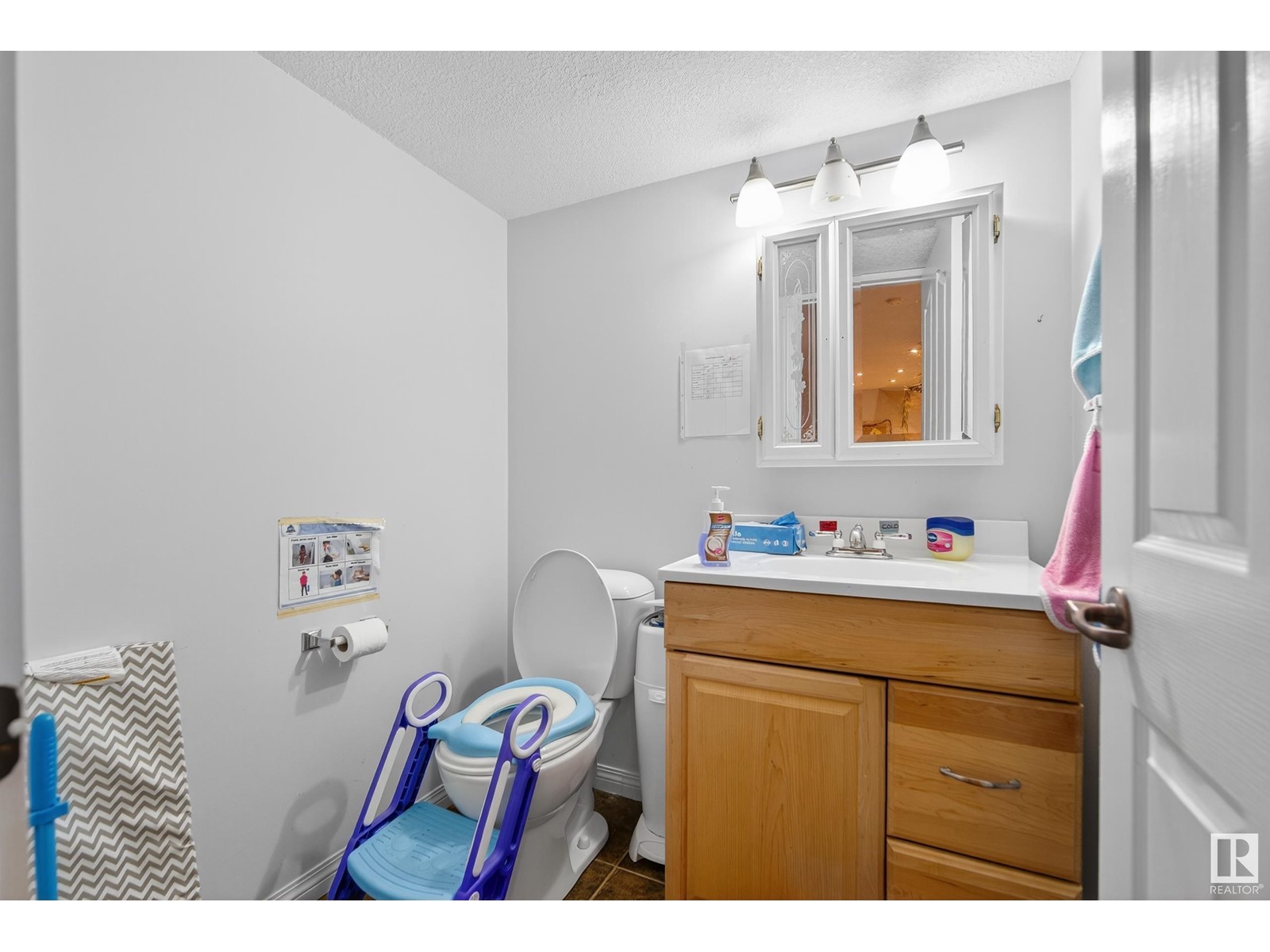 8828 166 Av Nw, Edmonton, Alberta  T5Z 3W8 - Photo 40 - E4440979