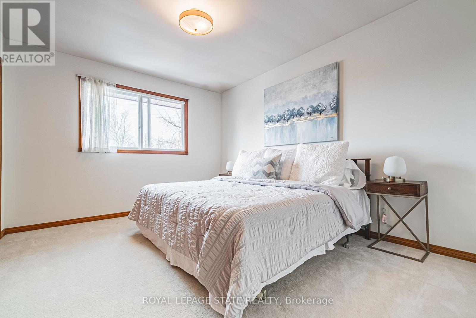 117 Iona Avenue, Hamilton (Ainslie Wood), Ontario  L8S 2L8 - Photo 23 - X12203568