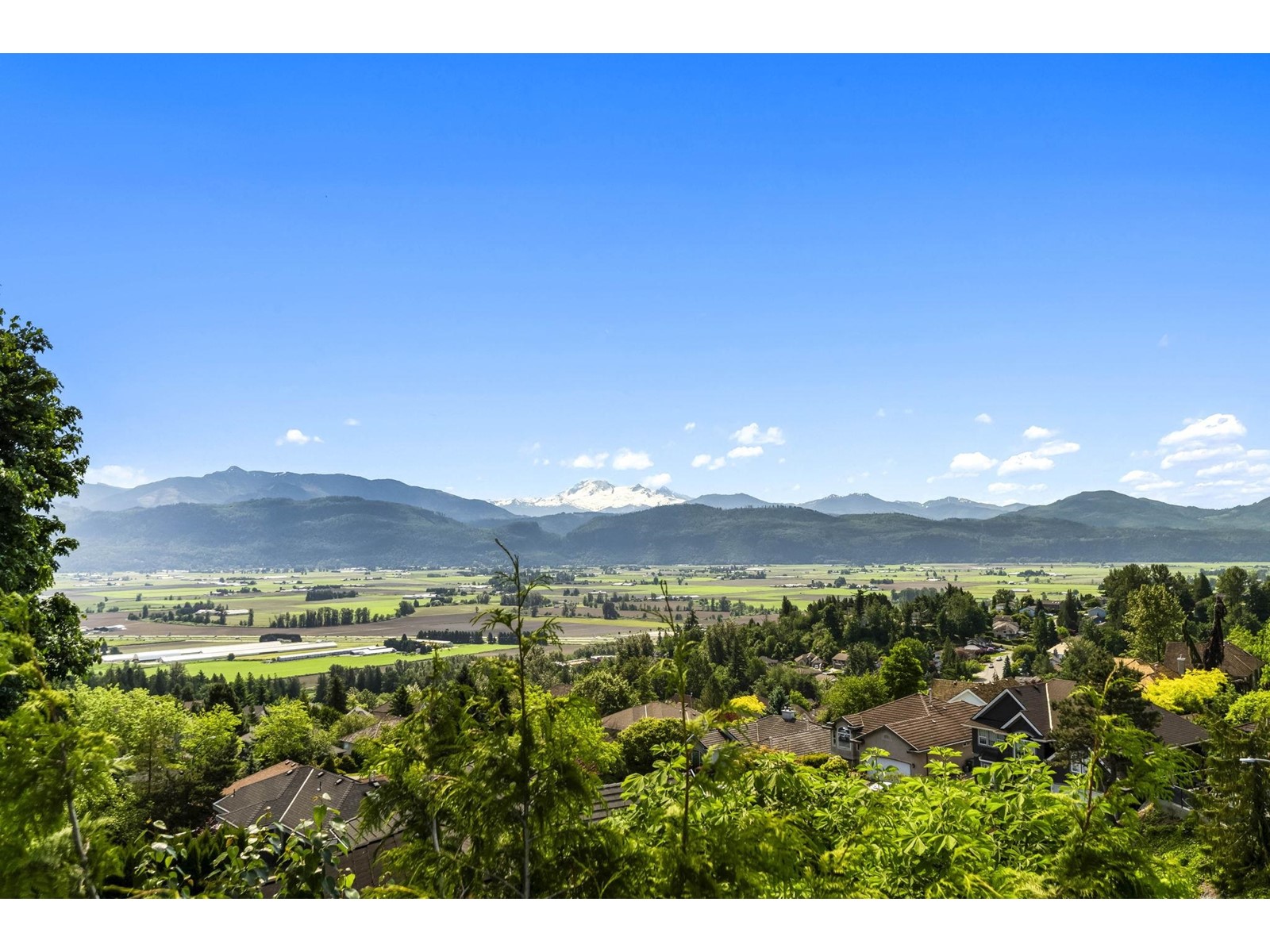 Property at 35819 REGAL PARKWAY image 3