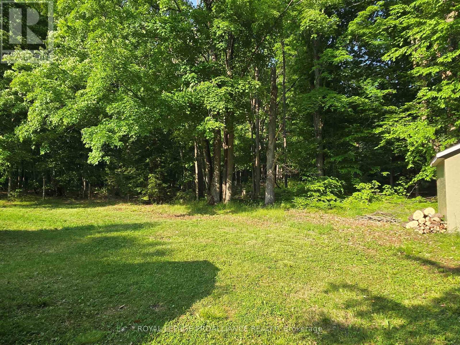 2476 Henderson Road, Central Frontenac, Ontario  K0H 1B0 - Photo 10 - X12203889