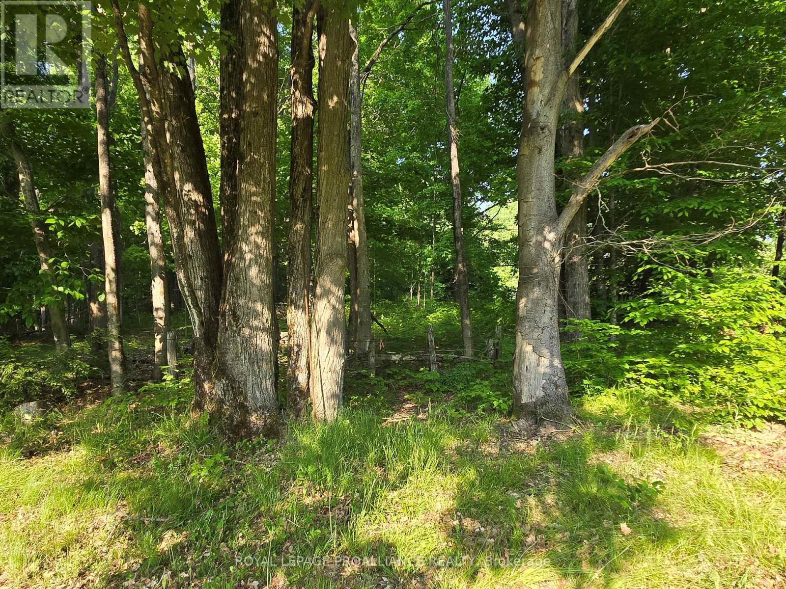 2476 Henderson Road, Central Frontenac, Ontario  K0H 1B0 - Photo 13 - X12203889