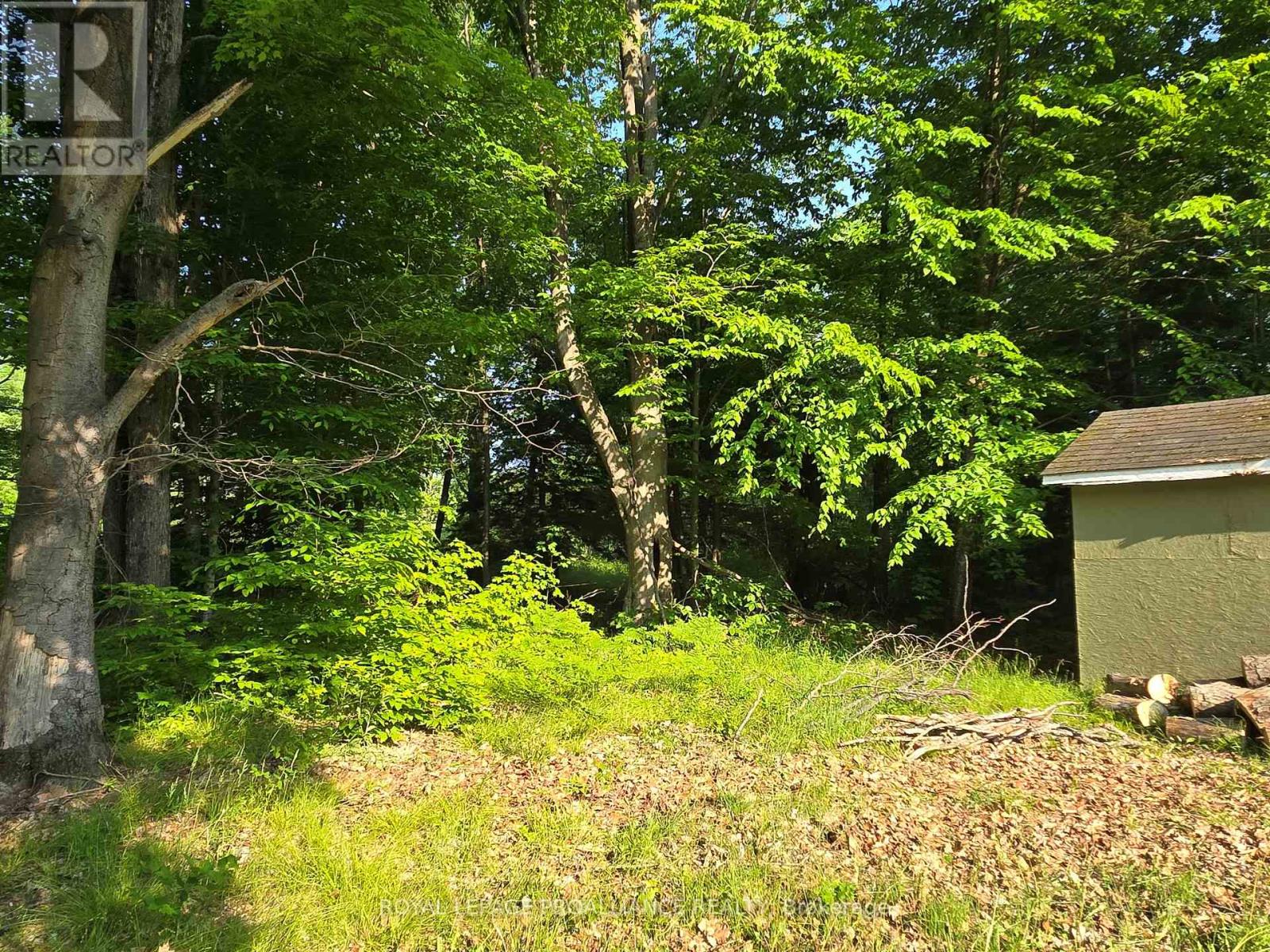2476 Henderson Road, Central Frontenac, Ontario  K0H 1B0 - Photo 14 - X12203889