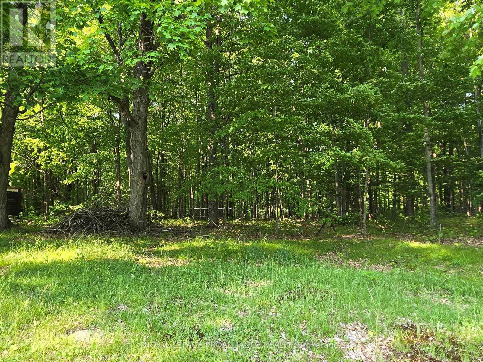 2476 Henderson Road, Central Frontenac, Ontario  K0H 1B0 - Photo 20 - X12203889