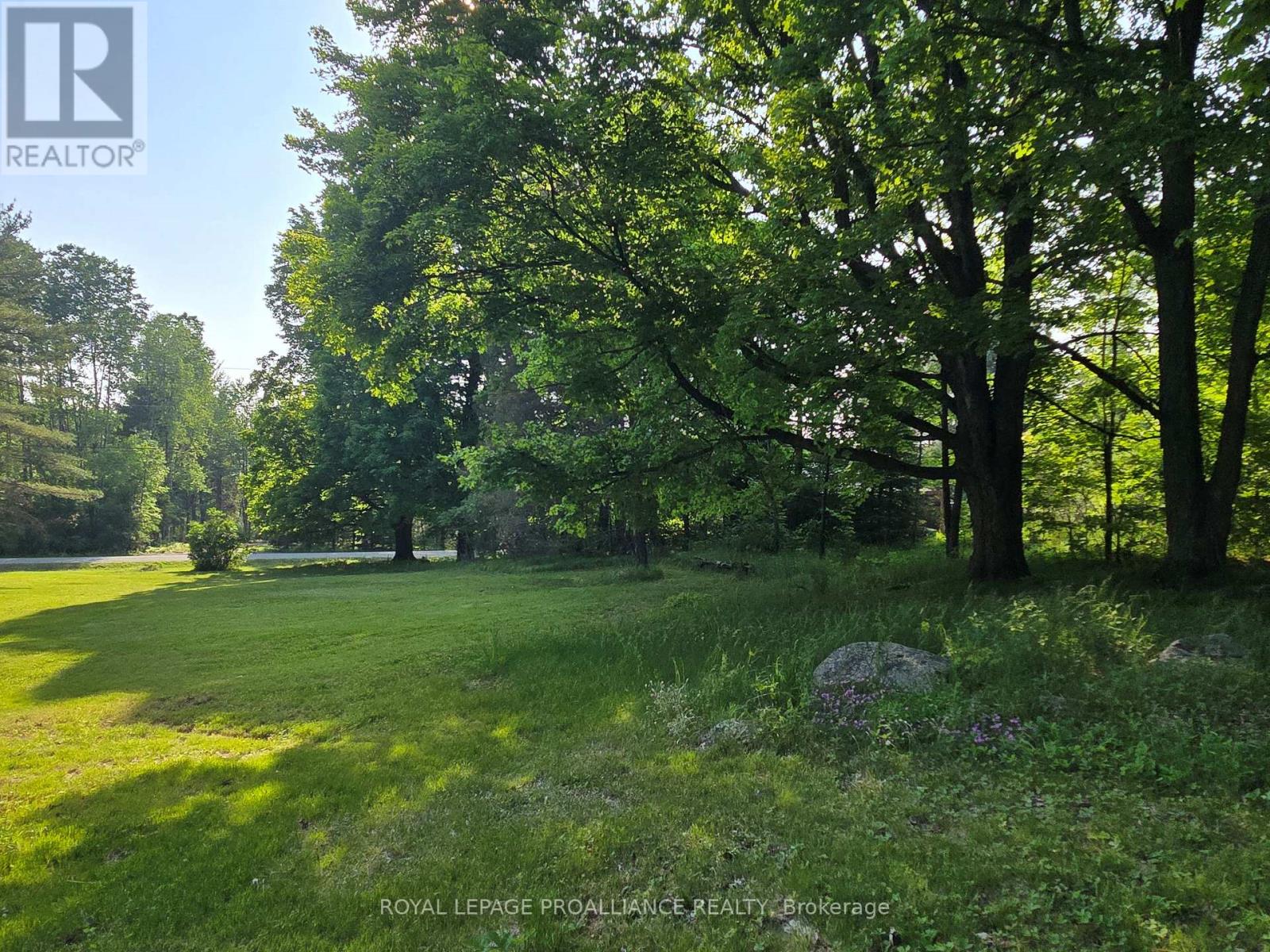 2476 Henderson Road, Central Frontenac, Ontario  K0H 1B0 - Photo 21 - X12203889