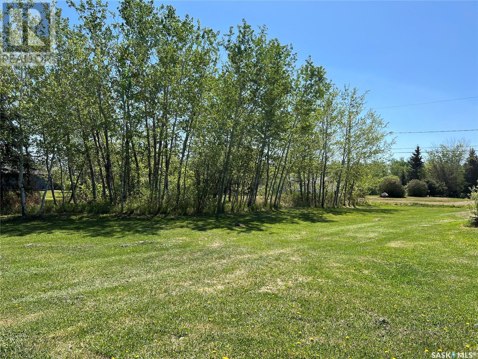 707 4th Avenue E, Meadow Lake, Saskatchewan  S9X 1J1 - Photo 2 - SK008696