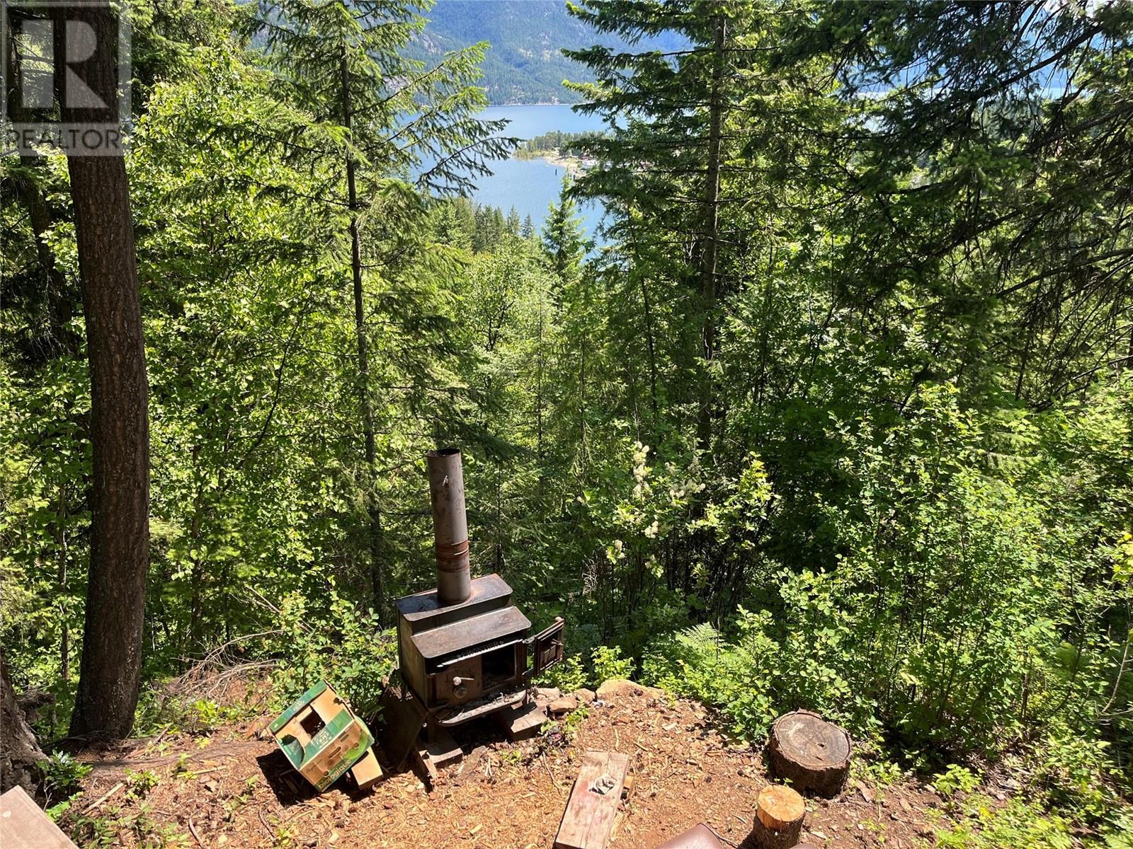242 9th Street, Kaslo, British Columbia  V0G 1M0 - Photo 42 - 10350911