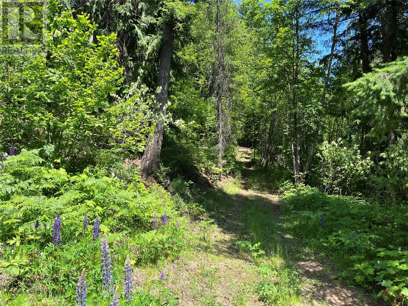 242 9th Street, Kaslo, British Columbia  V0G 1M0 - Photo 36 - 10350911