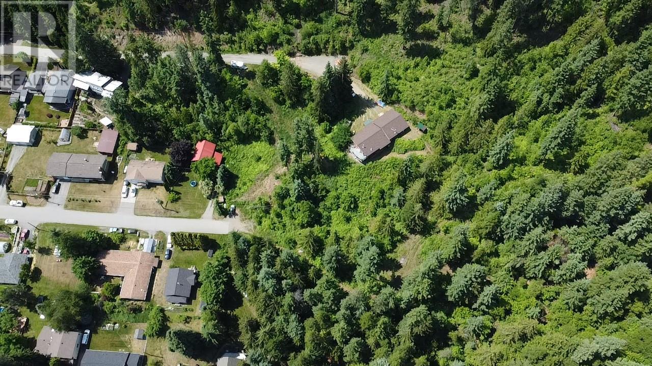 242 9th Street, Kaslo, British Columbia  V0G 1M0 - Photo 66 - 10350911