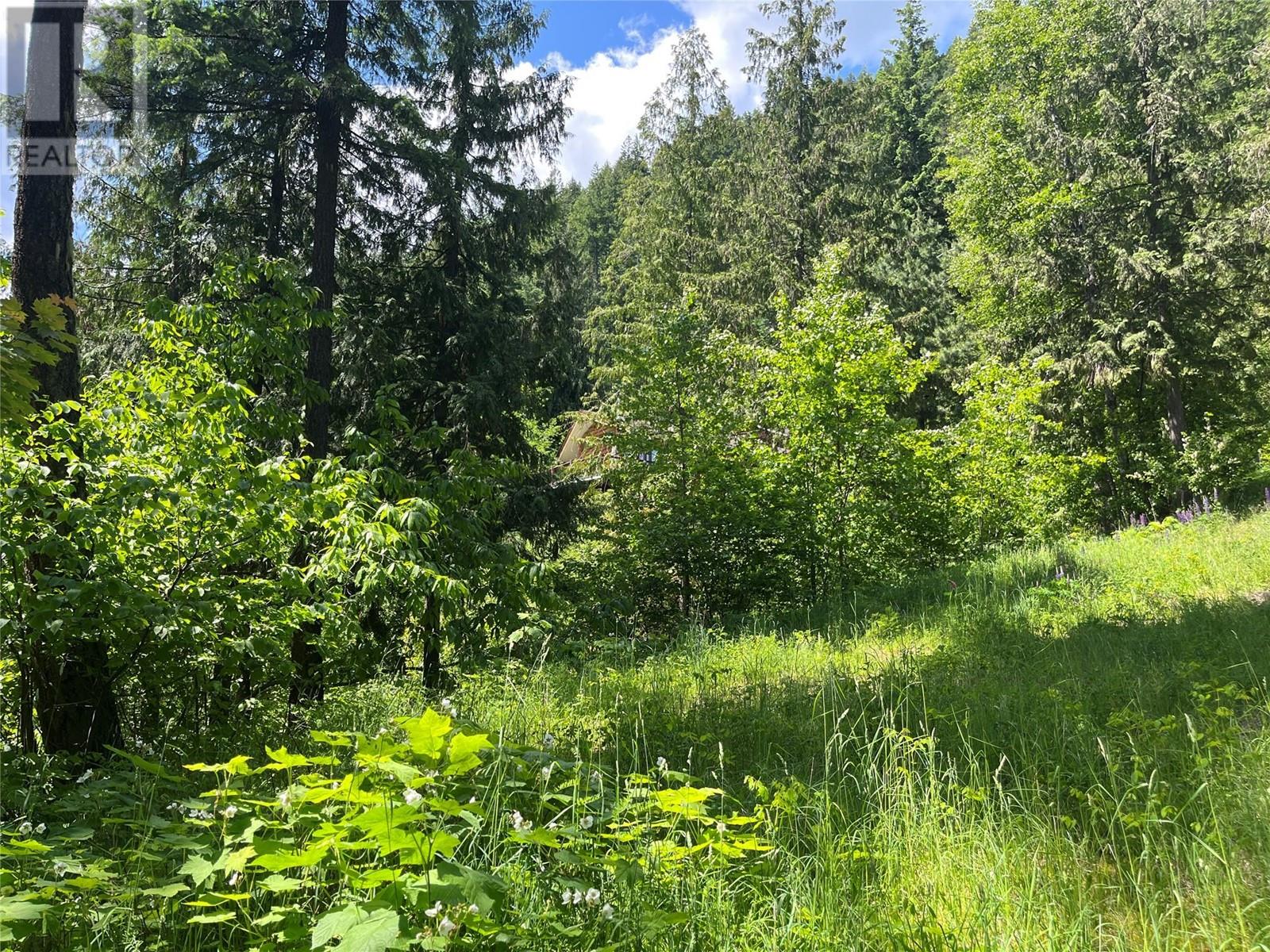 242 9th Street, Kaslo, British Columbia  V0G 1M0 - Photo 52 - 10350911