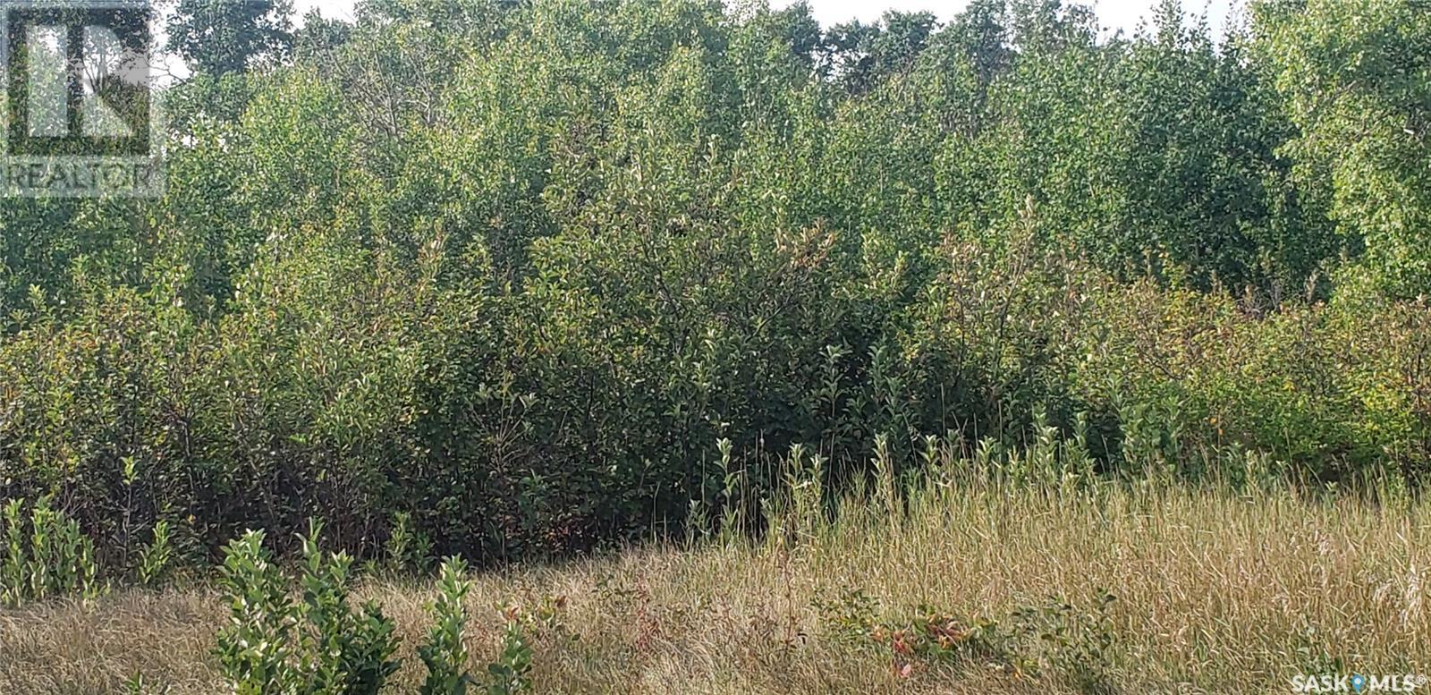 12 Whitetail Trail, Duck Lake Rm No. 463, Saskatchewan  S0K 1J0 - Photo 3 - SK008644