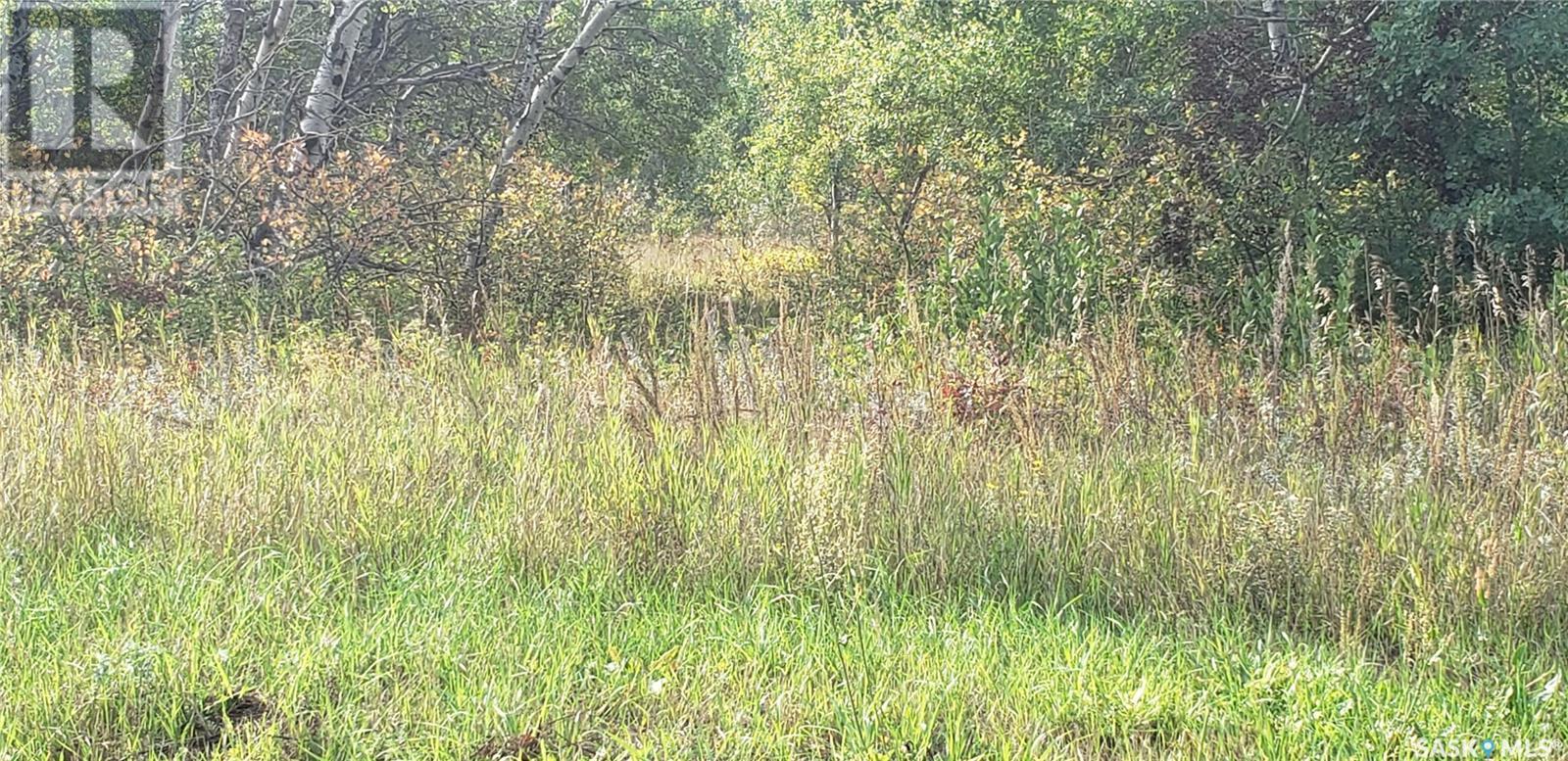 12 Whitetail Trail, Duck Lake Rm No. 463, Saskatchewan  S0K 1J0 - Photo 4 - SK008644