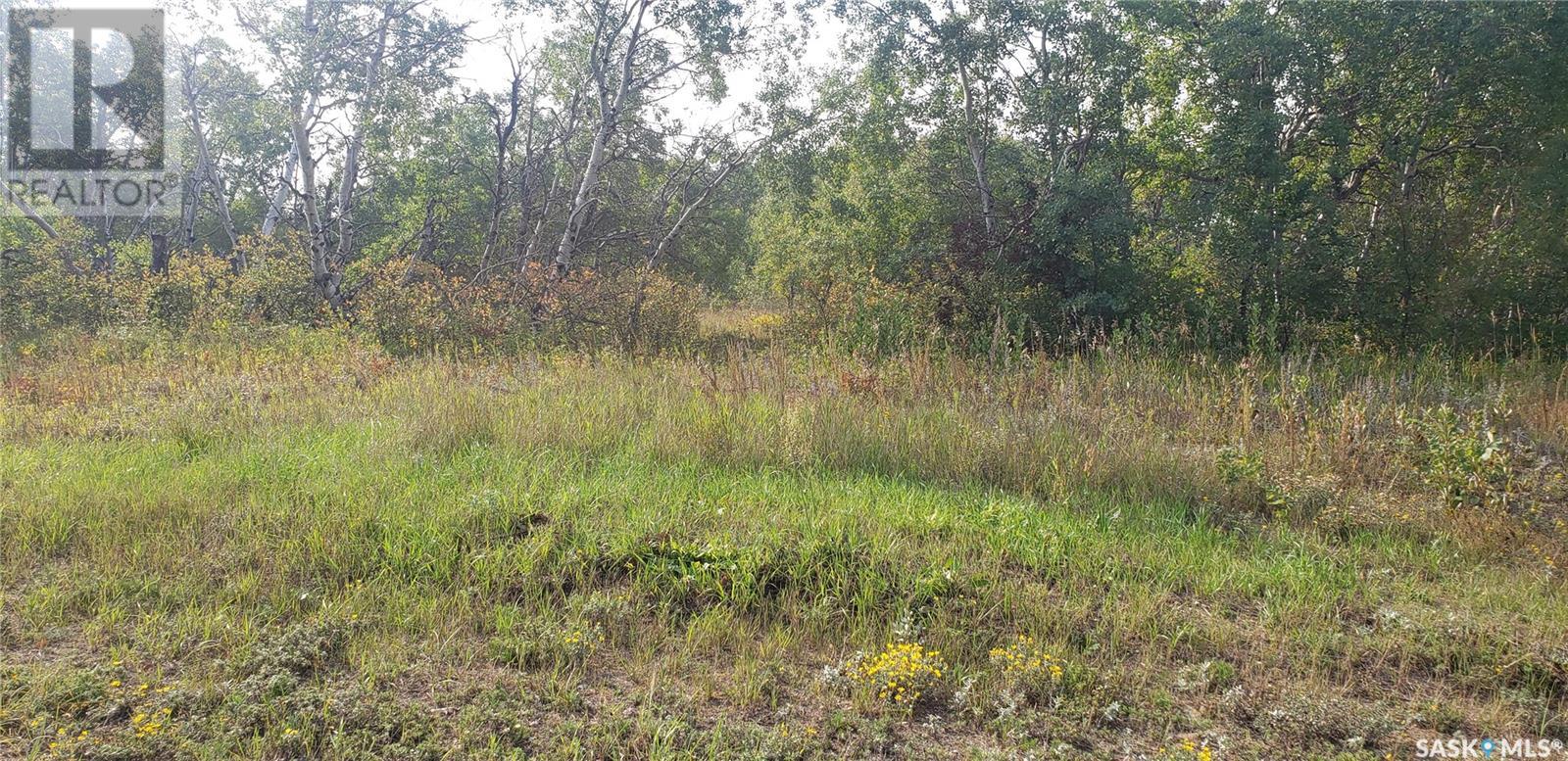 12 Whitetail Trail, Duck Lake Rm No. 463, Saskatchewan  S0K 1J0 - Photo 5 - SK008644