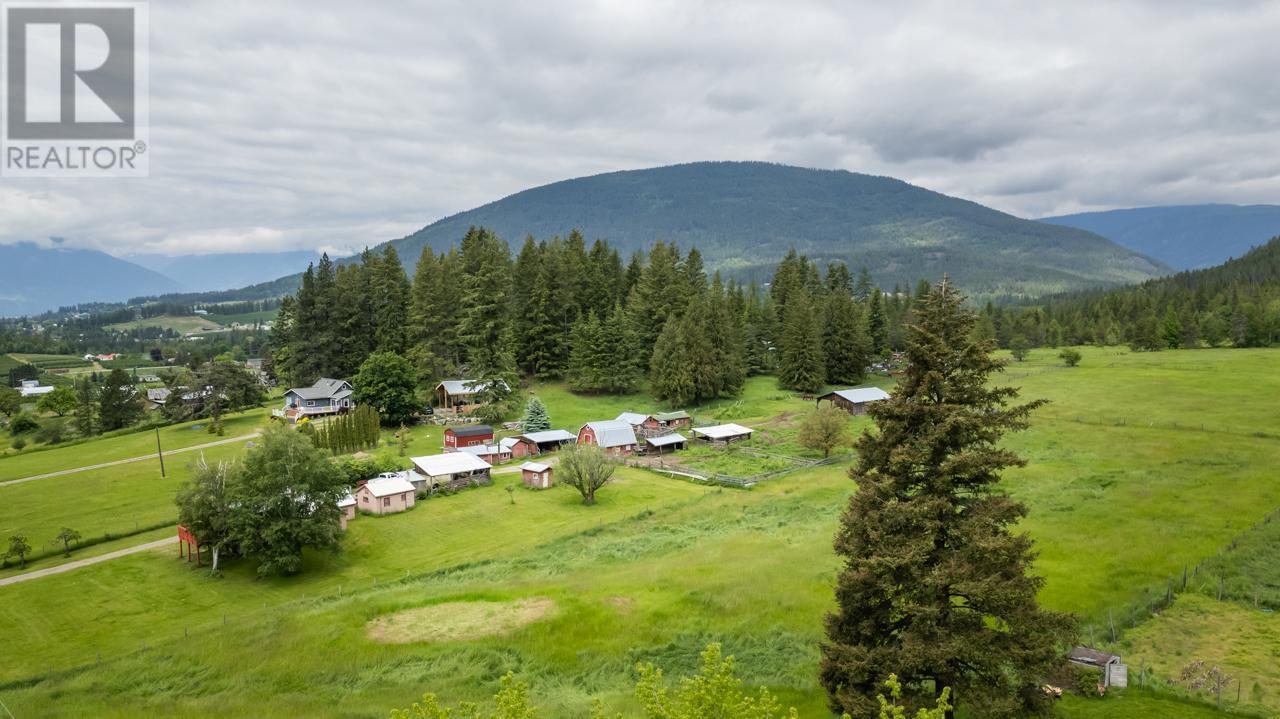 4512 48th Street, Canyon, British Columbia  V0B 1C1 - Photo 58 - 10343947
