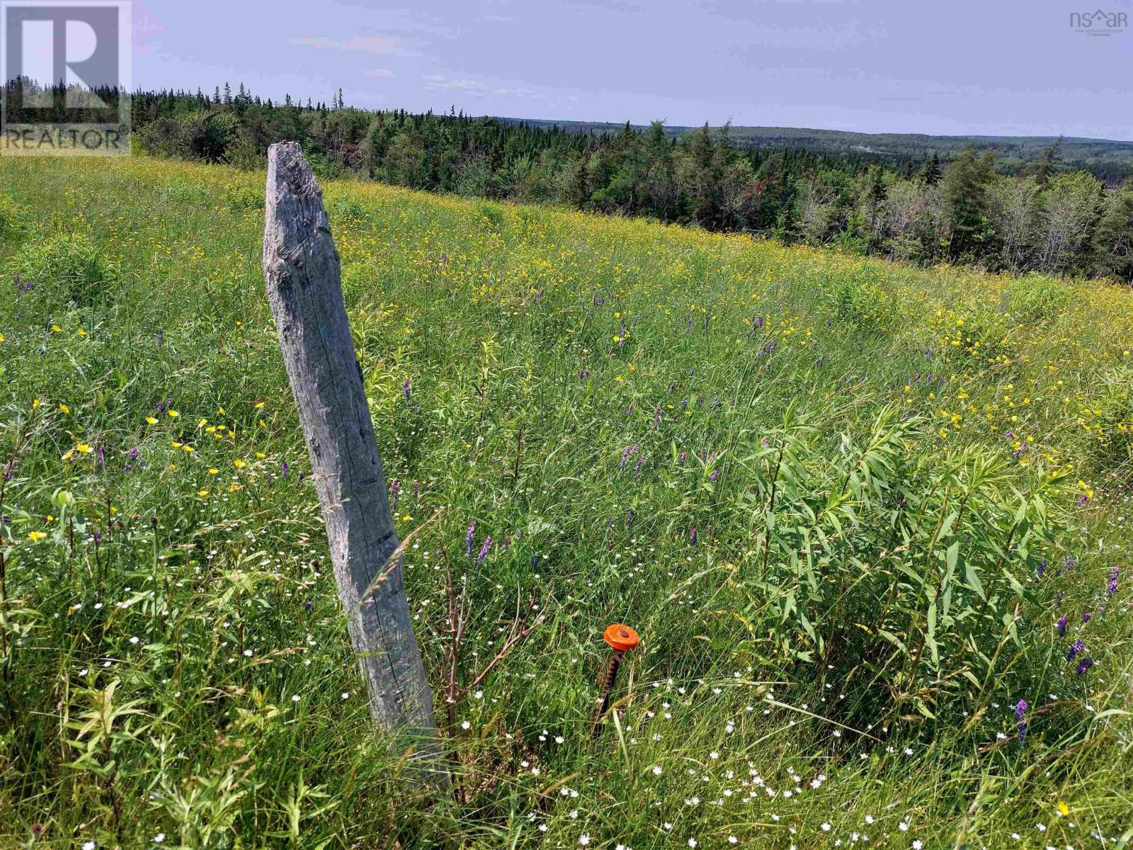 Lot 2 Grand Mira Rd S, Grand Mira South, Nova Scotia  B1K 1H2 - Photo 10 - 202513820