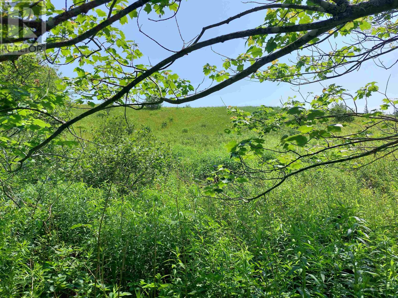 Lot 2 Grand Mira Rd S, Grand Mira South, Nova Scotia  B1K 1H2 - Photo 11 - 202513820