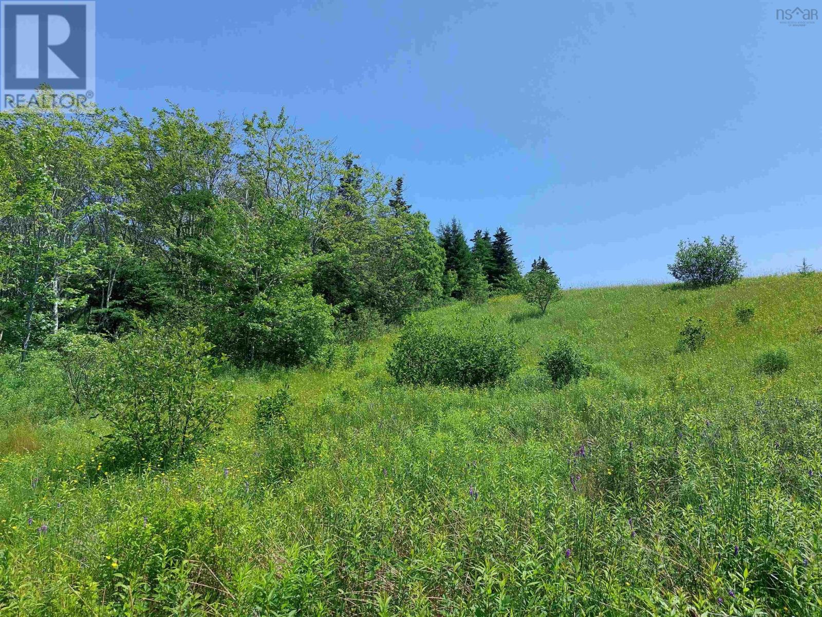 Lot 2 Grand Mira Rd S, Grand Mira South, Nova Scotia  B1K 1H2 - Photo 12 - 202513820