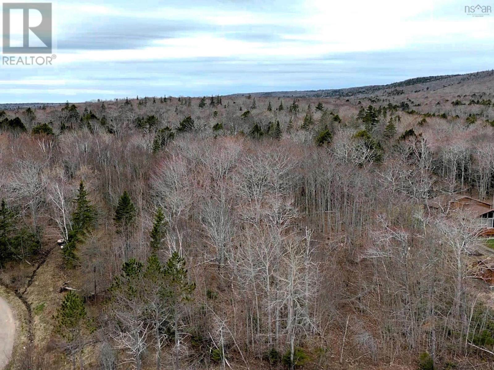 Lot Bm-1 Marble Mountain Road, West Bay Marshes, Nova Scotia  B0E 3K0 - Photo 10 - 202509749