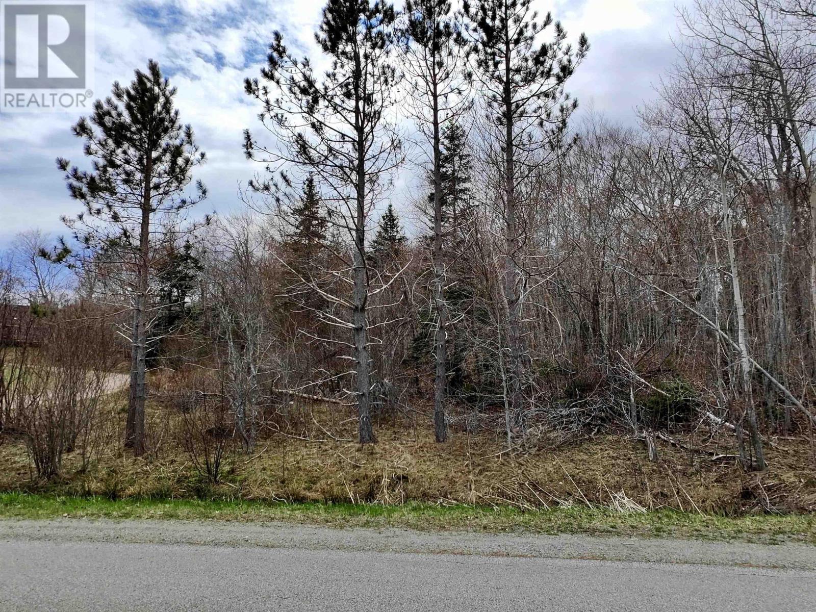 Lot Bm-1 Marble Mountain Road, West Bay Marshes, Nova Scotia  B0E 3K0 - Photo 2 - 202509749