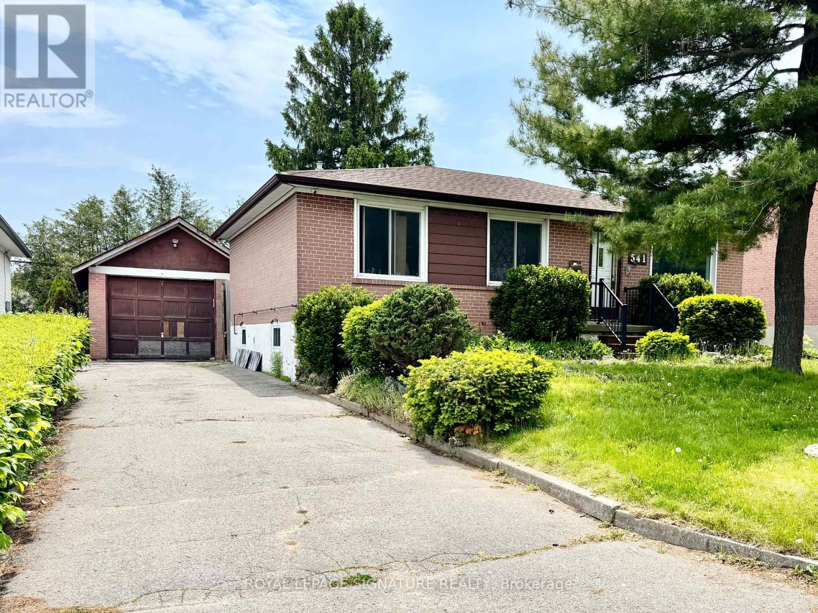 Basement - 541 Monteith Avenue, Oshawa, Ontario  L1J 1E2 - Photo 1 - E12204130