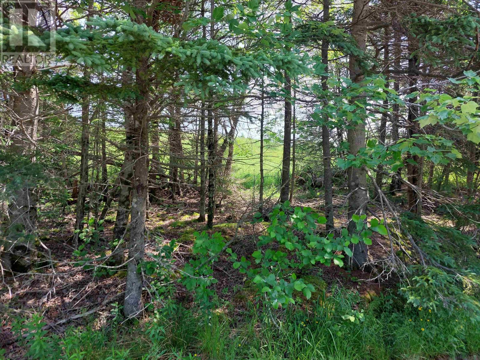 Lot 4 Grand Mira Rd S, Grand Mira South, Nova Scotia  B1K 1H2 - Photo 6 - 202513821