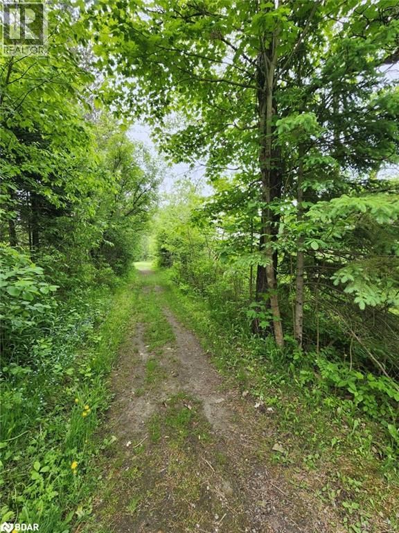 313 Syples Street, Burk's Falls, Ontario  P0A 1C0 - Photo 38 - 40708108