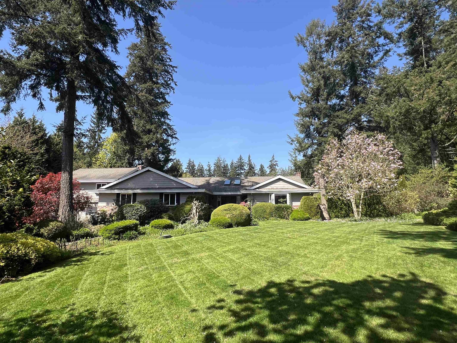 Property at 14387 24A AVENUE image 1