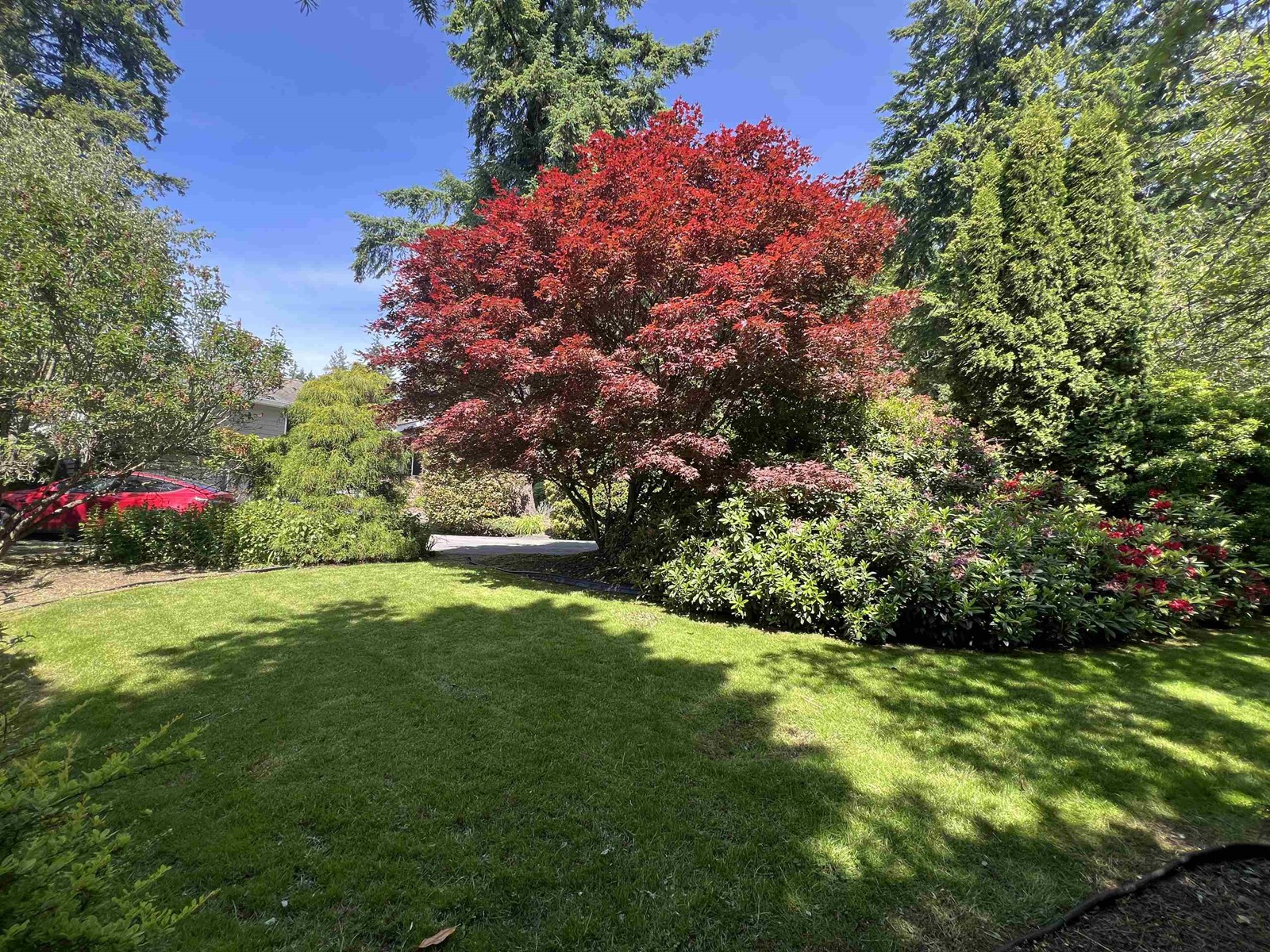 Property at 14387 24A AVENUE image 3