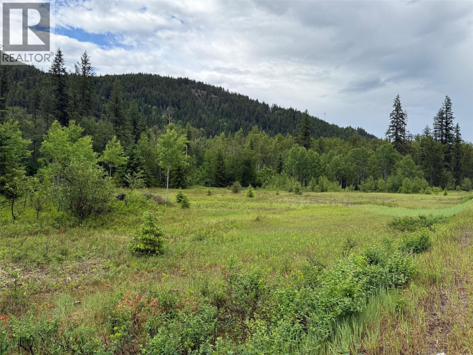 2128 Blackwater Road, clearwater, British Columbia V0E1N0