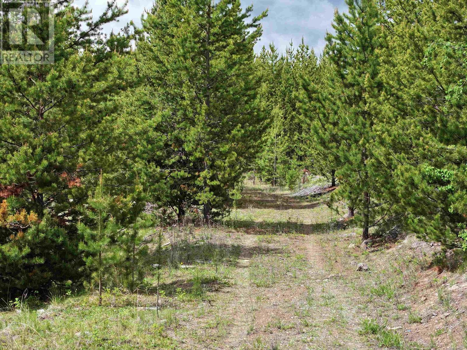 Lot 5 93 Mile Loop Road, Lone Butte, British Columbia  V0K 1X3 - Photo 2 - R3012621