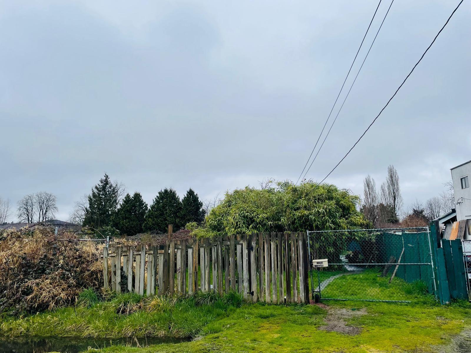 12463 112a Avenue, Surrey, British Columbia  V3V 3L2 - Photo 12 - R2979907