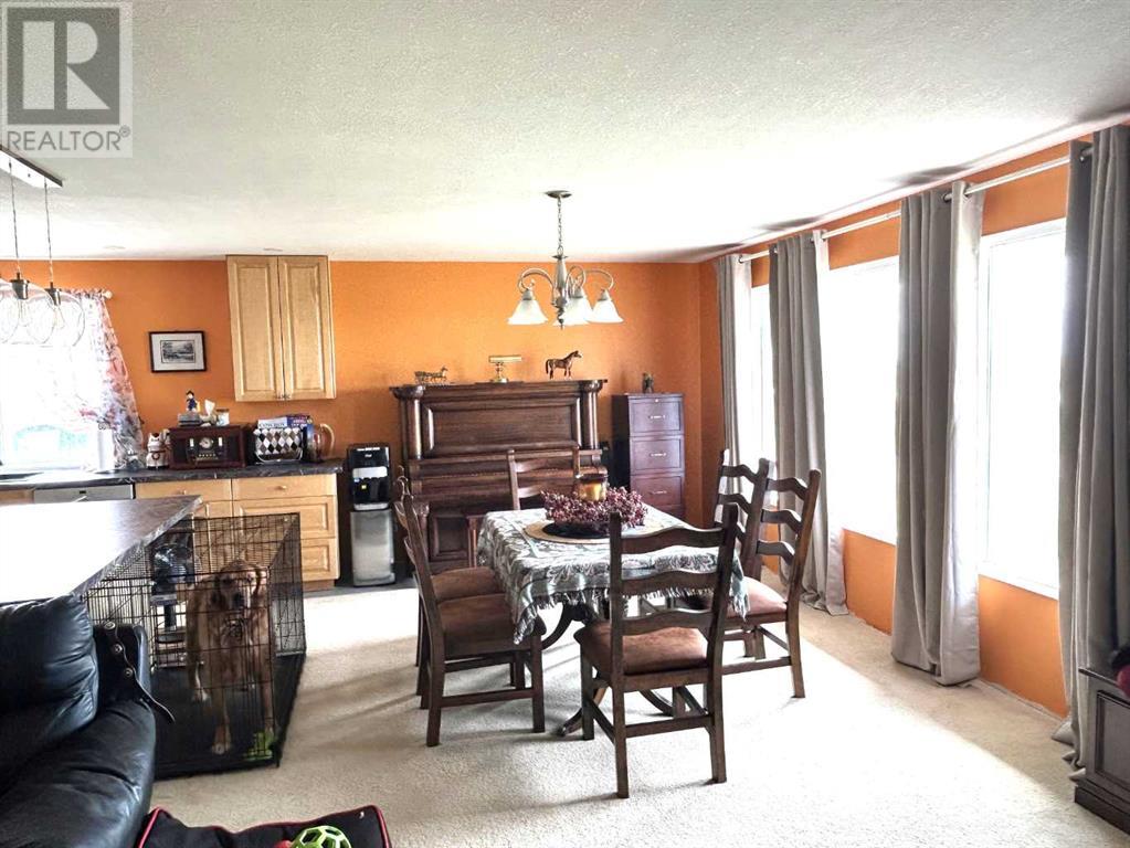 36205 Highway 872, Coronation, Alberta  T0C 0X0 - Photo 24 - A2228041