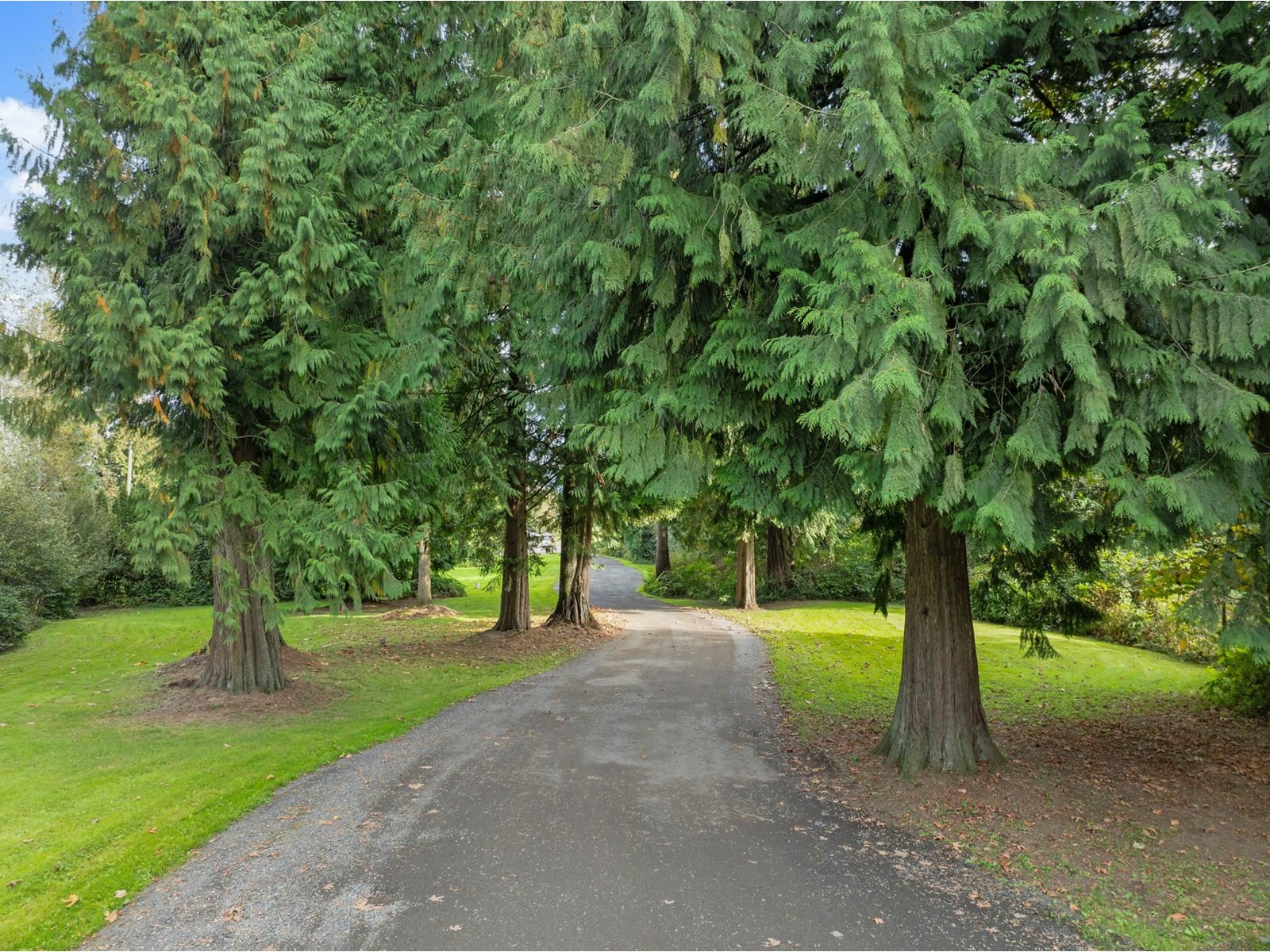 5860 Baynes Street, Abbotsford, British Columbia  V4X 1J9 - Photo 5 - R2986725