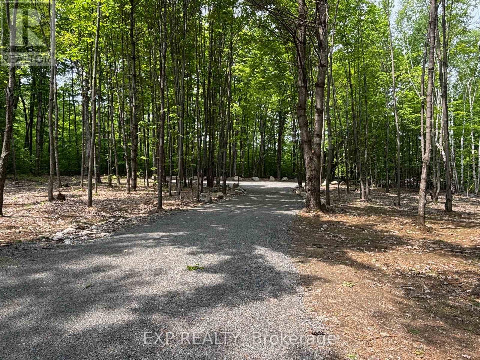 3191 Mountainview Road, Killaloe, Ontario  K0J 2A0 - Photo 4 - X12204233