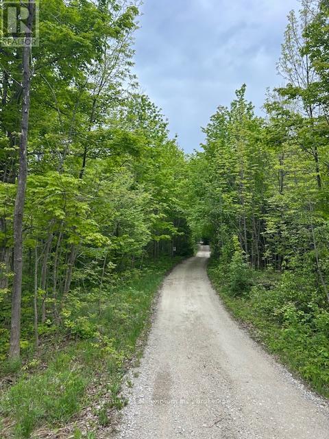 204495 Highway 26, Meaford, Ontario N4K 5W4 - Photo 6 - X12186605